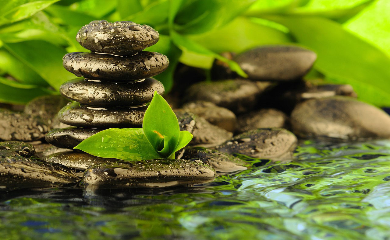 myspeed 5929918 1280 2